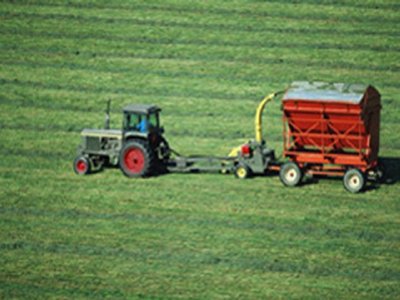MAQUINARIA AGRICOLA (2)  CAMPESINOS
